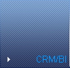 CRM/BI