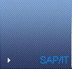 SAP/IT