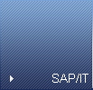 SAP/IT